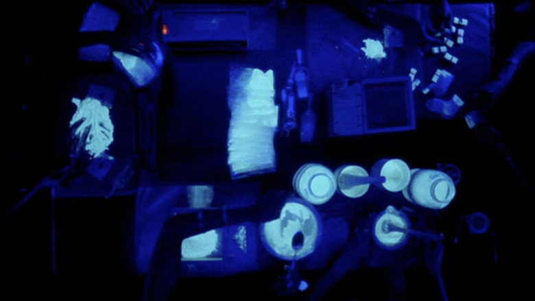 Scene 4