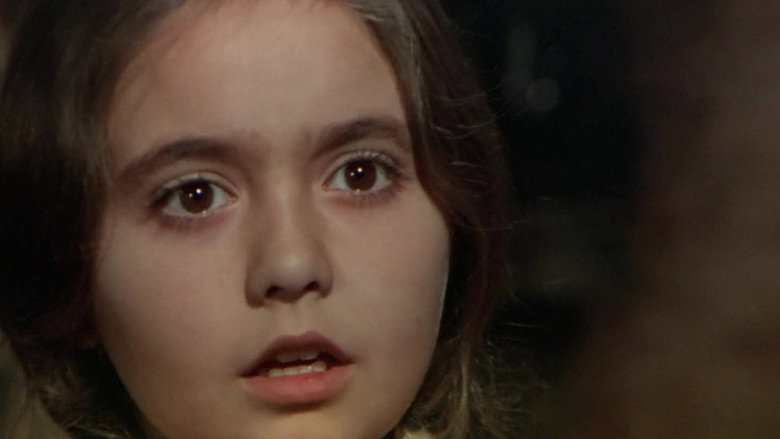 view all