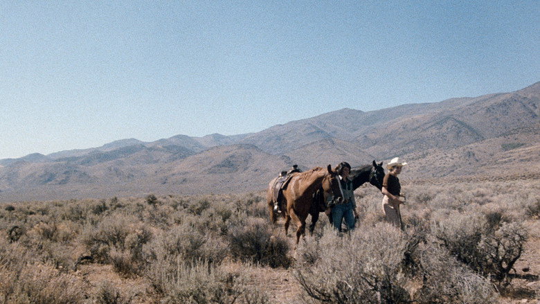 Scene 4