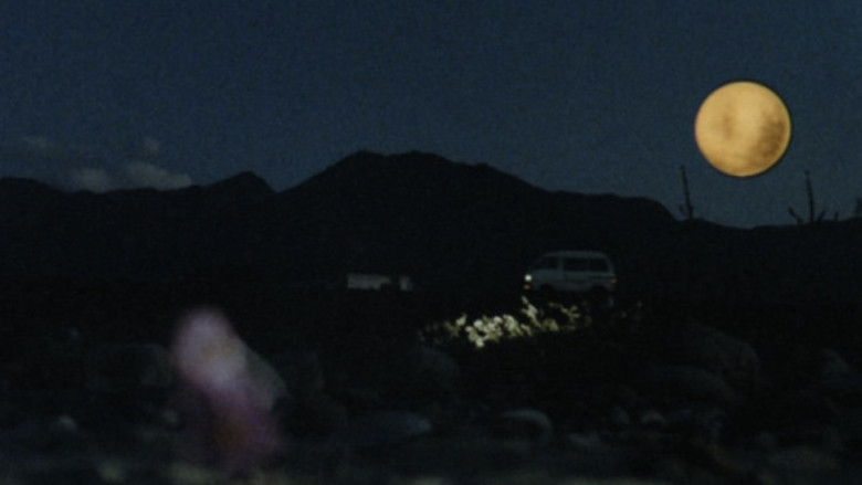 Scene 5