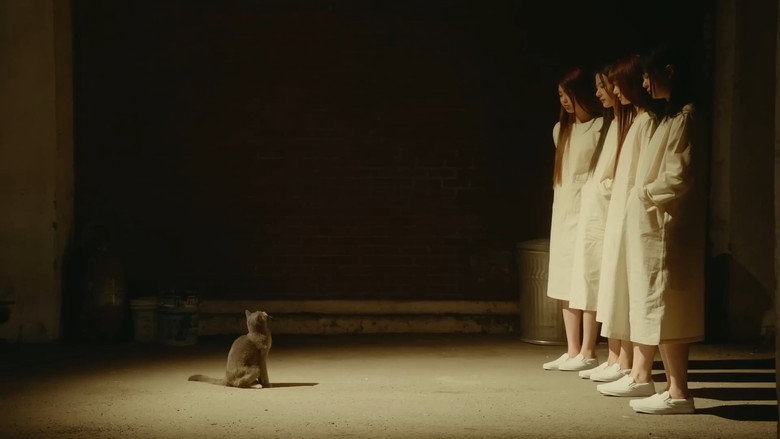 Scene 3
