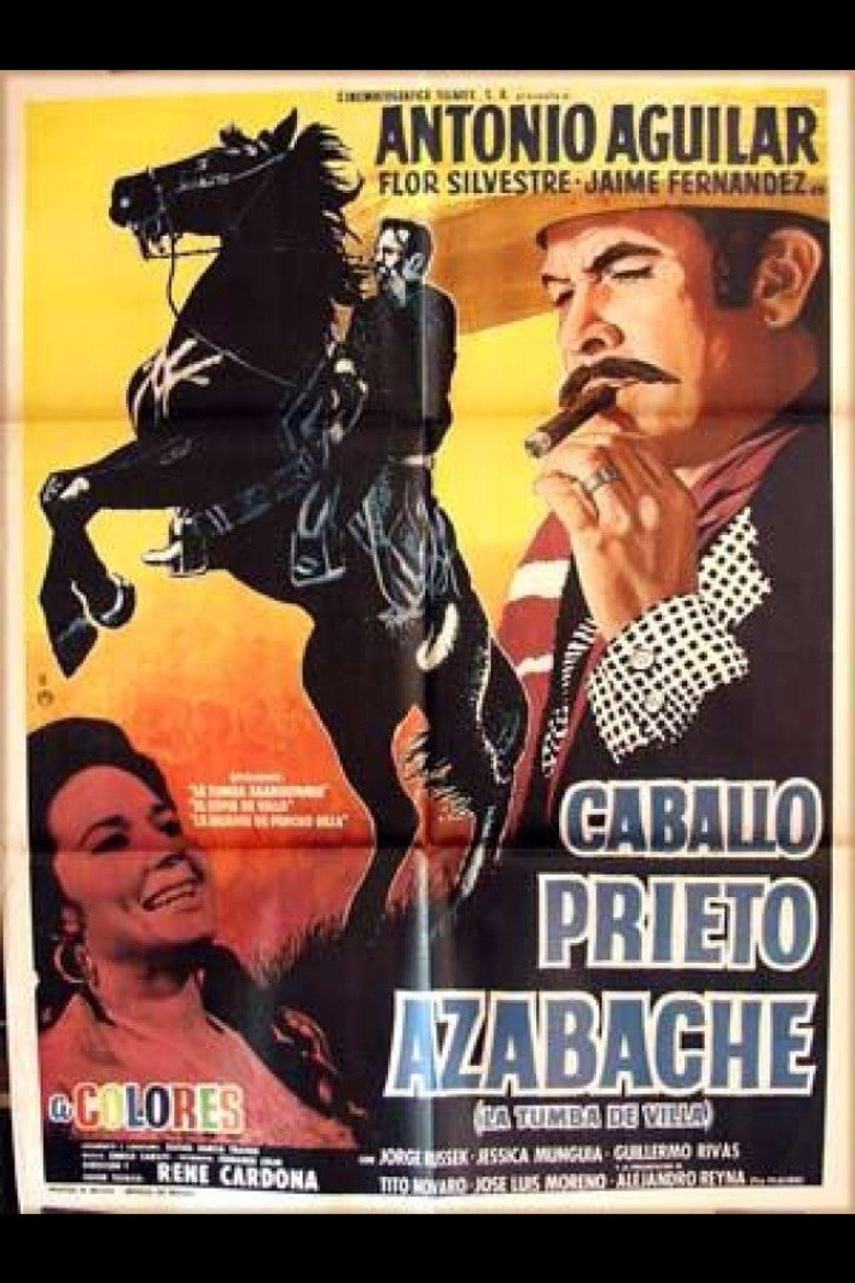 Poster 1