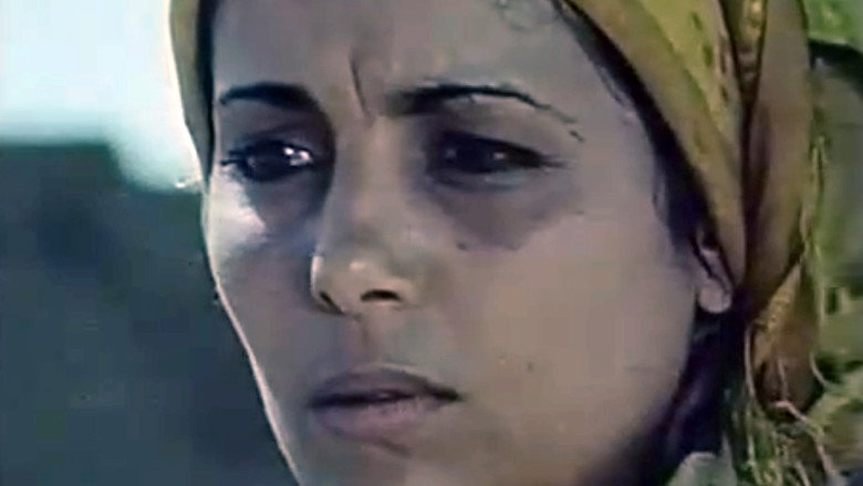 Scene 5