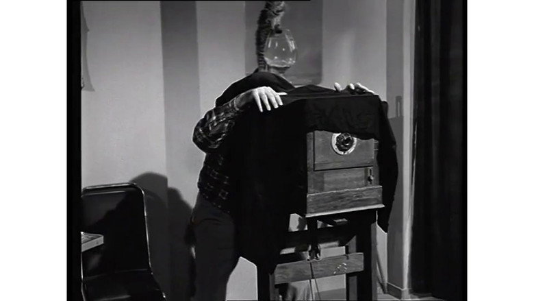 Scene 3