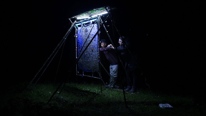 Scene 3