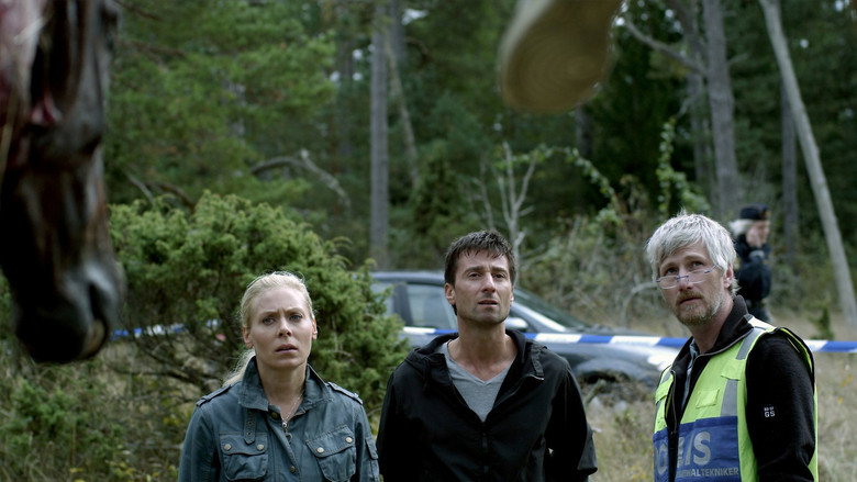 Scene 5