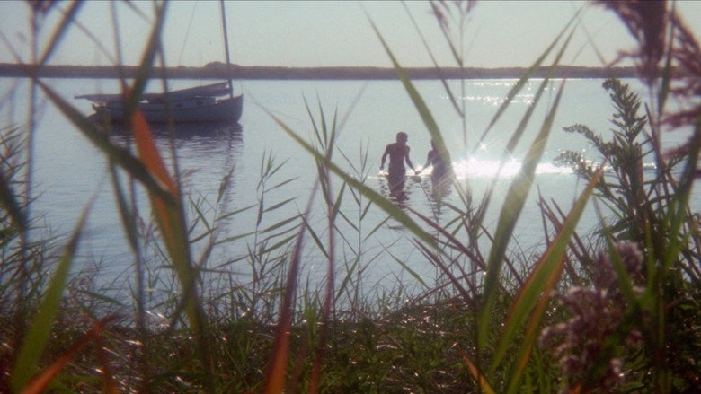 Scene 5