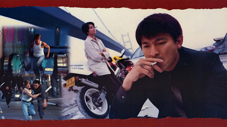 Scene 3