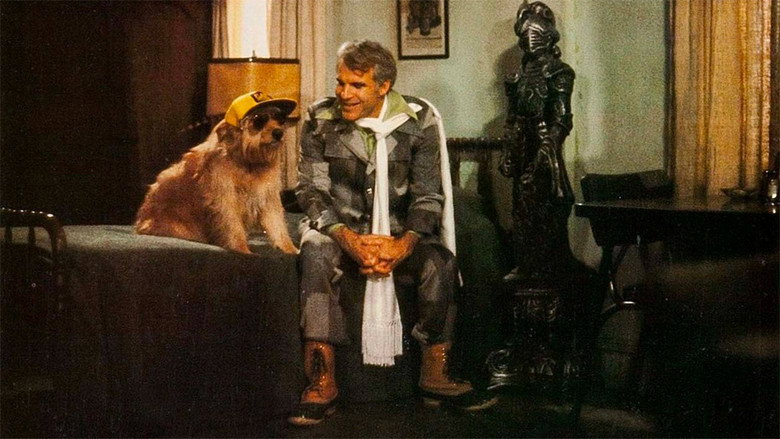 Scene 5