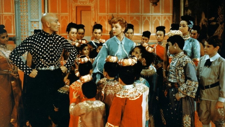 Scene 5