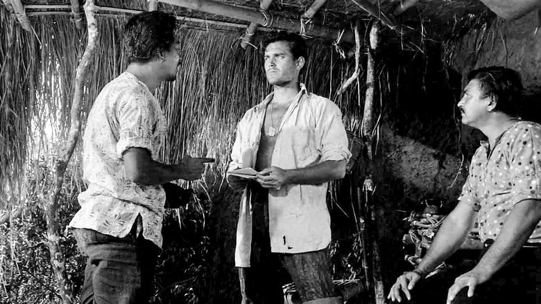 Scene 3