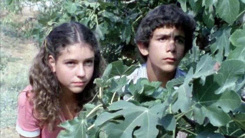 Scene 5