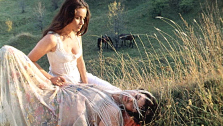 Scene 5