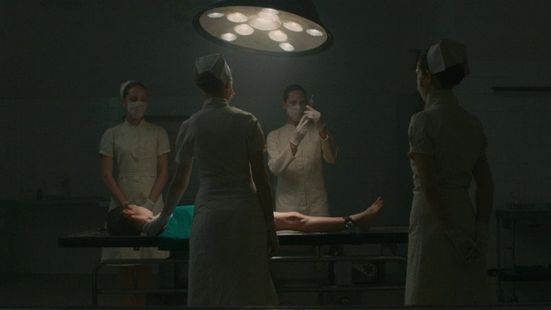 Scene 4