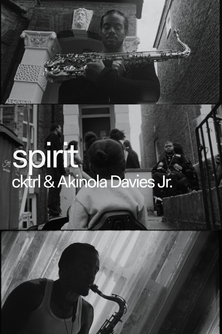 Poster 1
