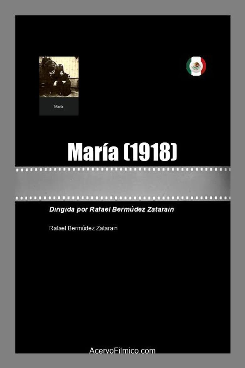 Poster 3