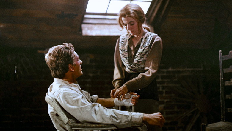 Scene 3