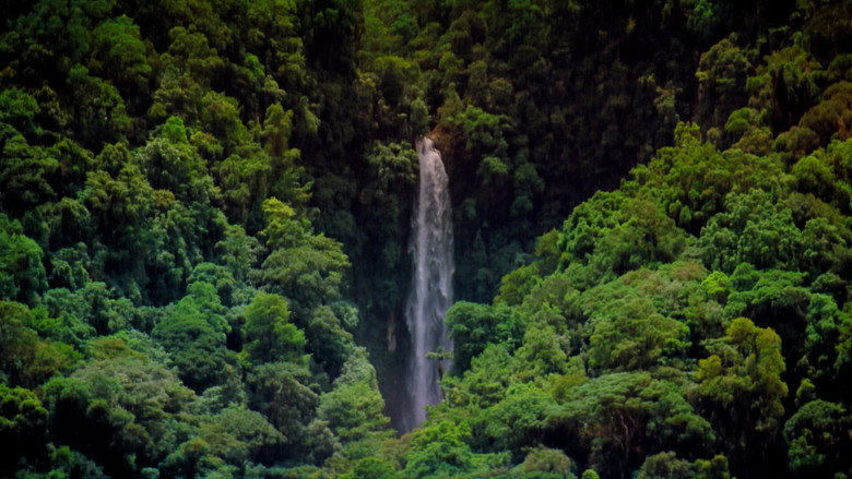 Scene 3