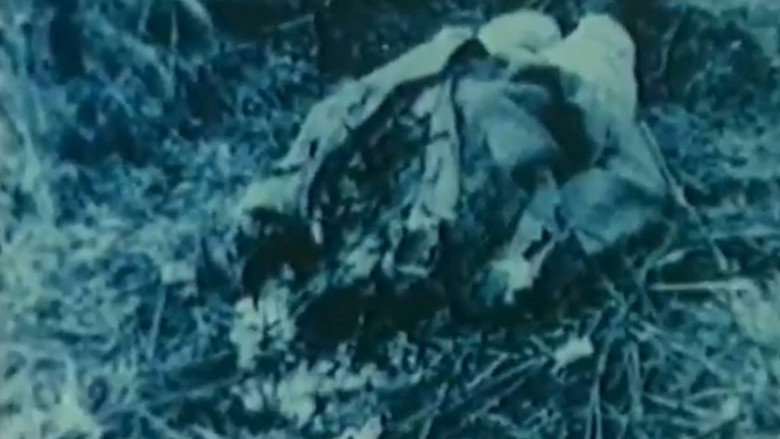 Scene 3