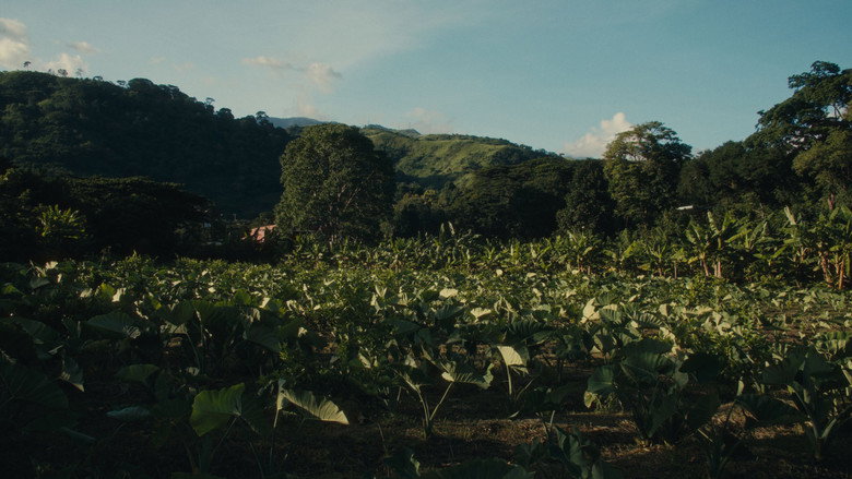Scene 4