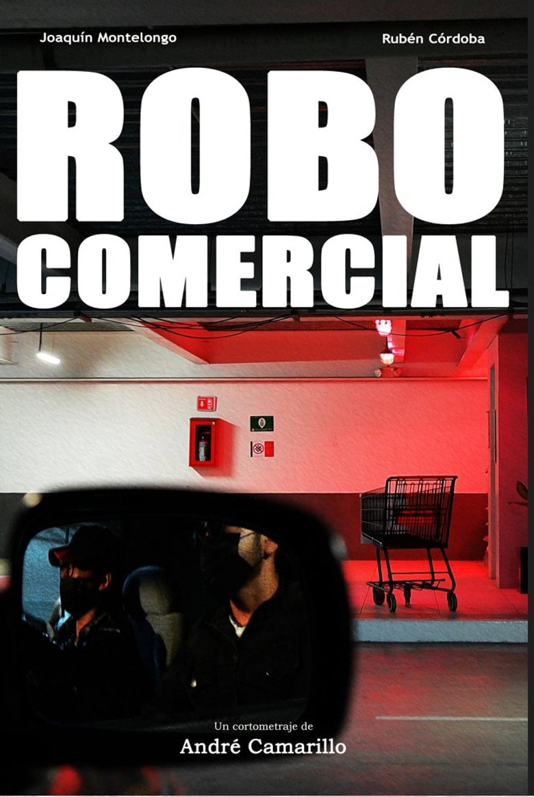 Poster 1