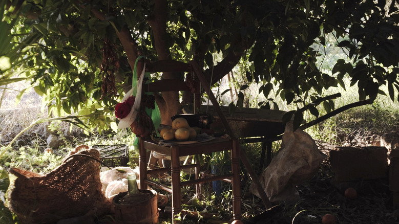 Scene 5