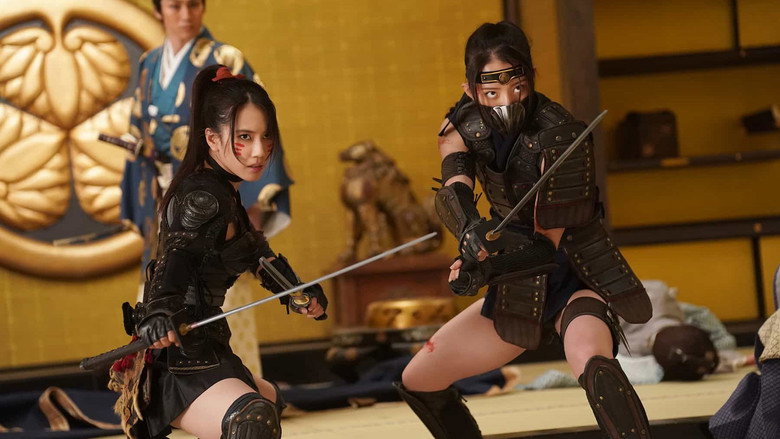 Ninja Wars: BlackFox vs Shogun's Ninja backdrop