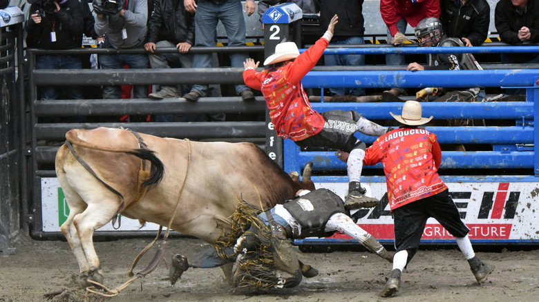 Rodéo Québec
