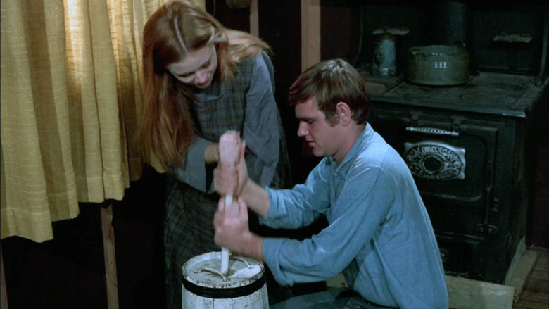 Scene 3