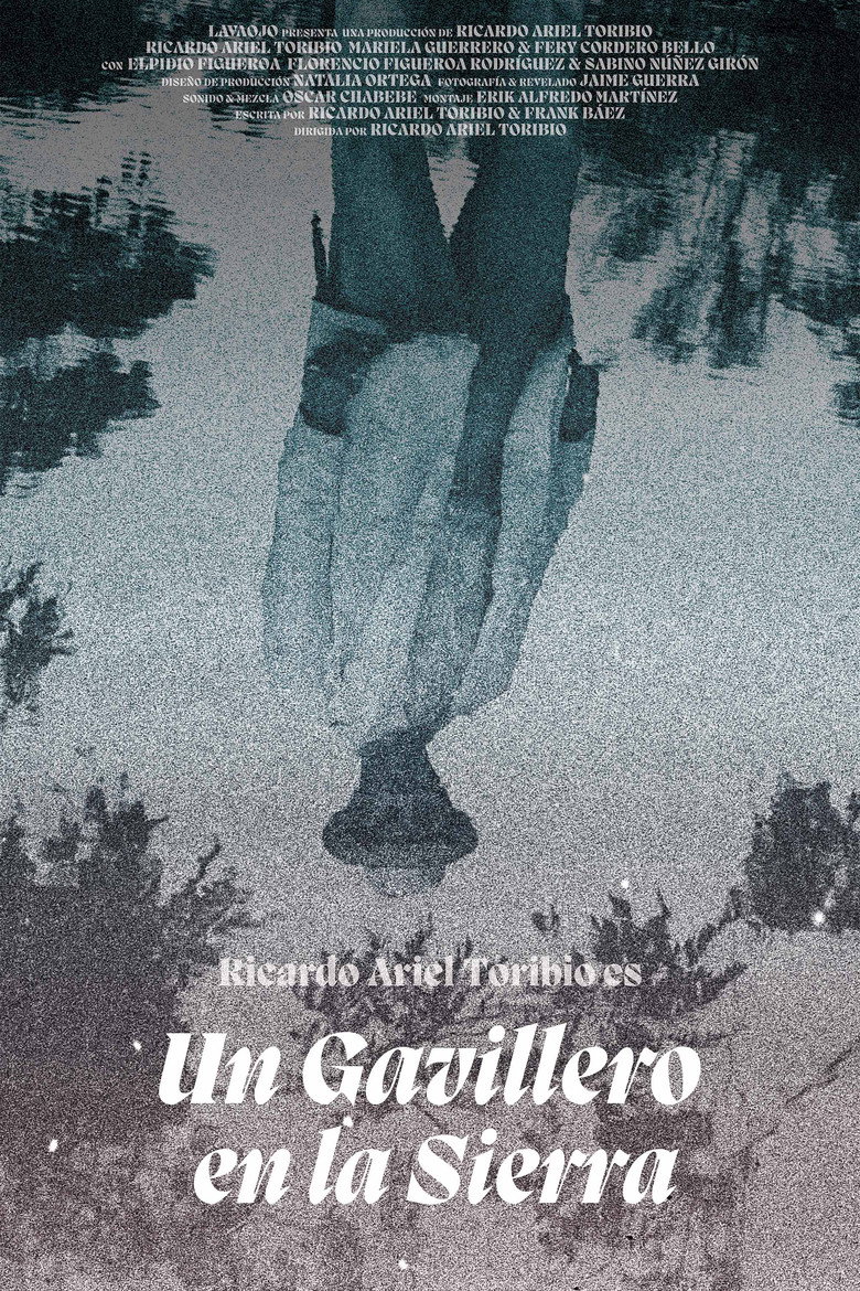 Poster 2