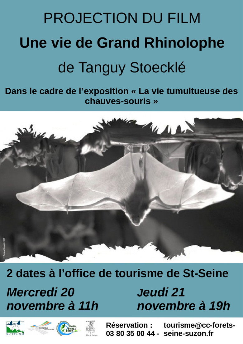 Poster 1
