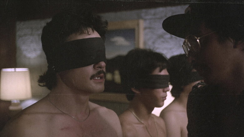 Scene 5
