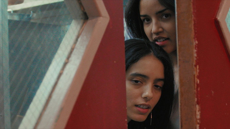 Scene 5