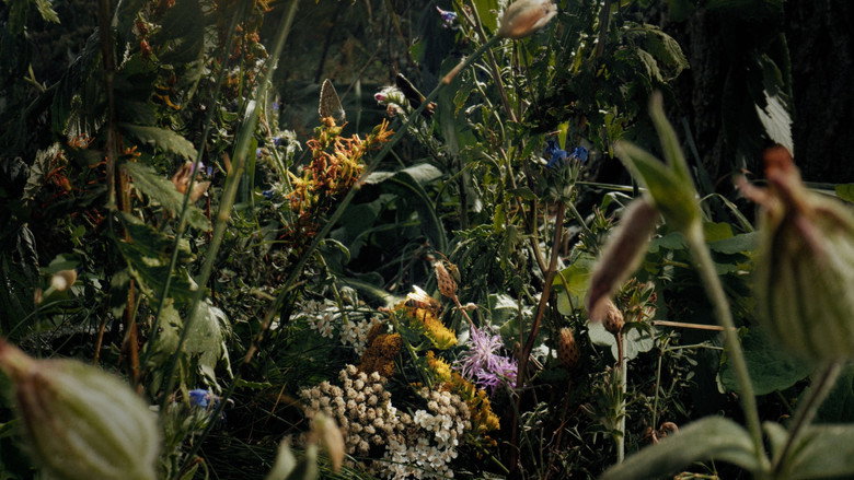 Scene 4