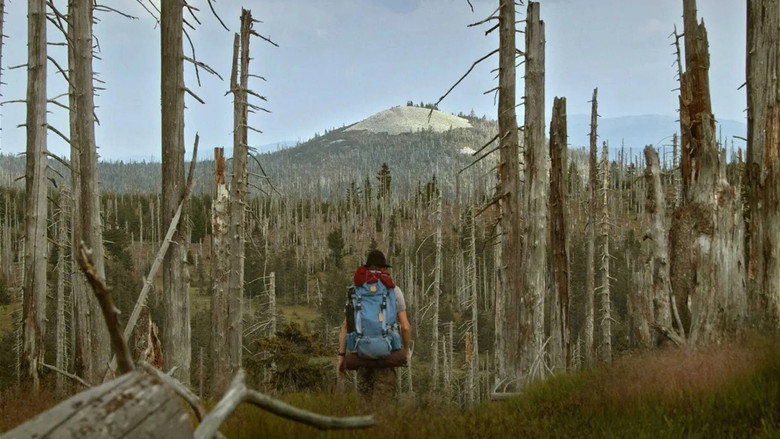 Scene 5