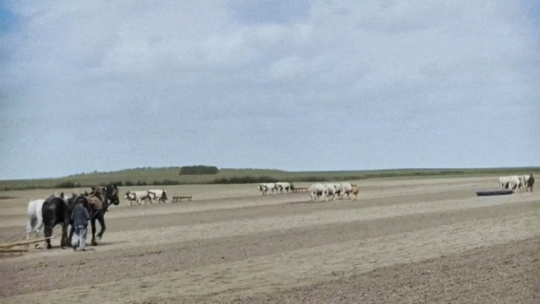 Scene 3