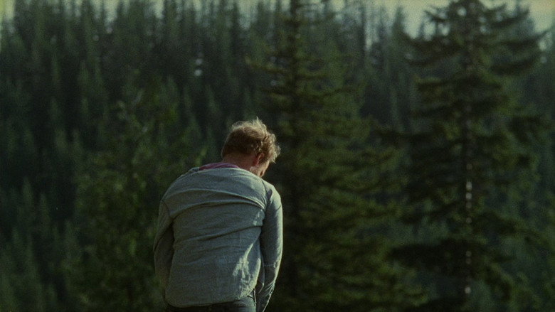 Scene 5