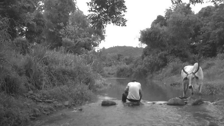 Scene 2