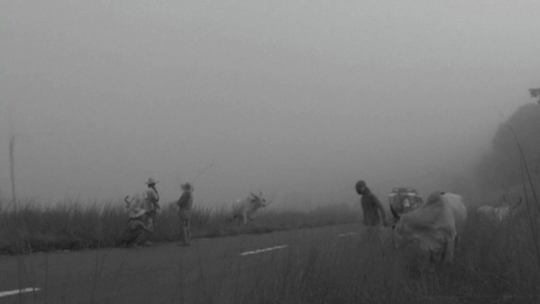 Scene 4