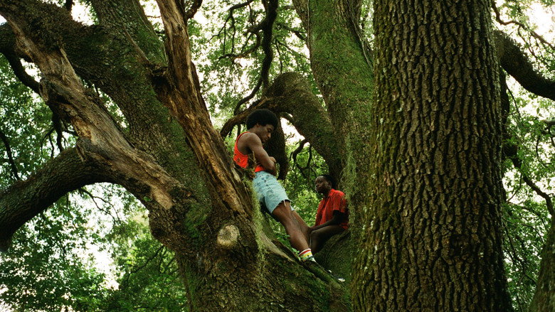 Scene 5