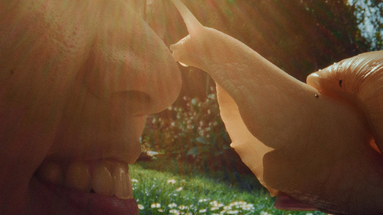 Scene 3