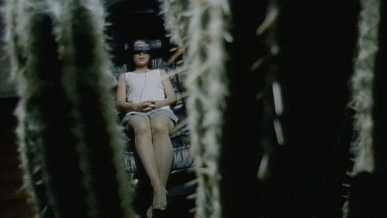 Scene 3