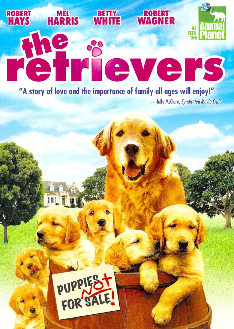 Poster 5