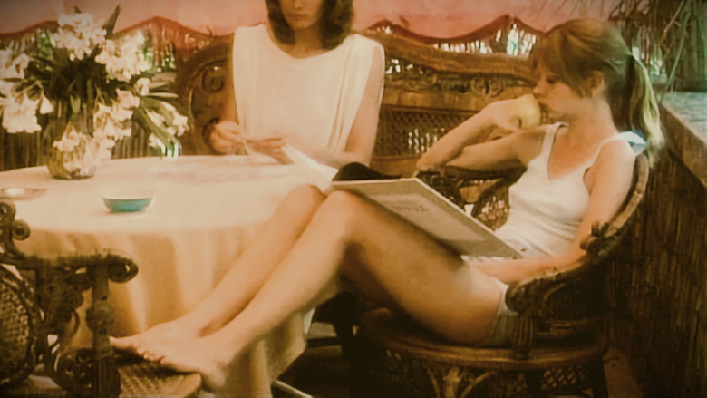Scene 5