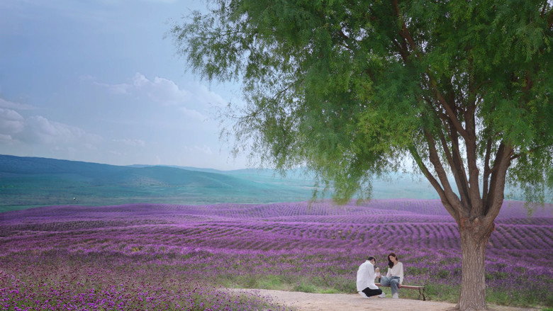 Scene 2