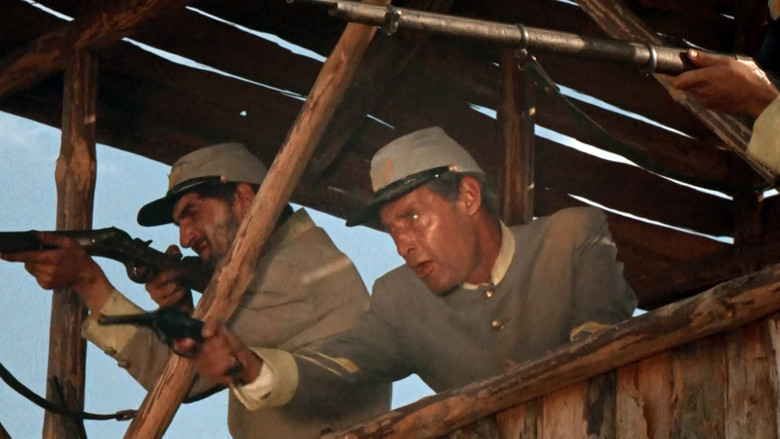Scene 5