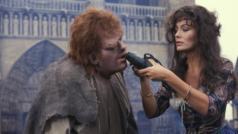 The Hunchback of Notre Dame backdrop