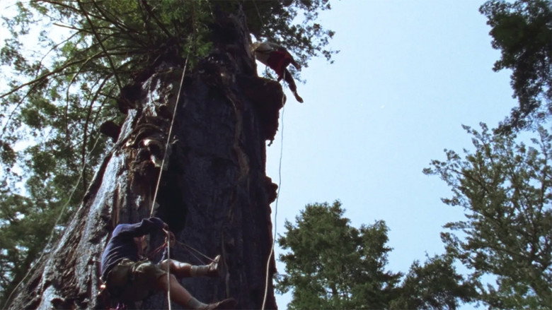 Scene 4