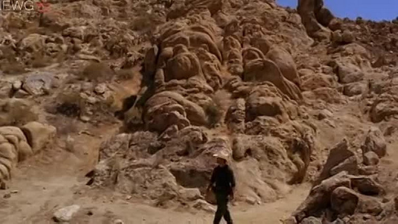 Scene 5
