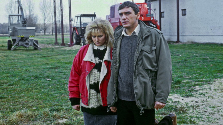 Scene 3